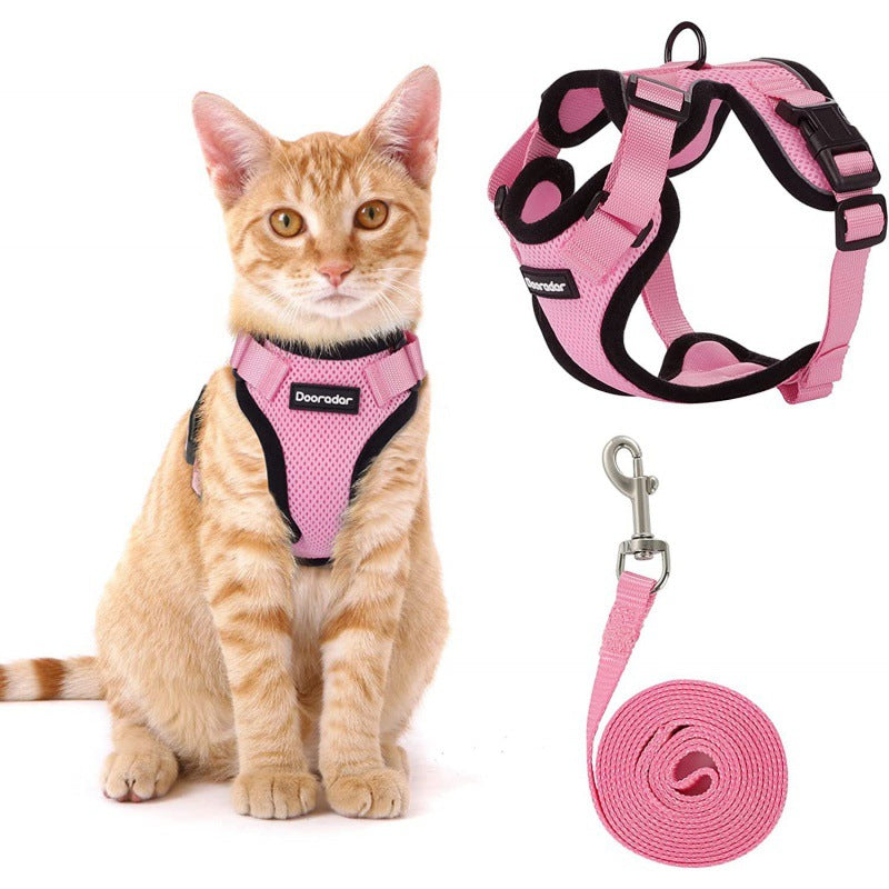 Safe & Soft – Il Set Premium per Gatti Amati con Stile